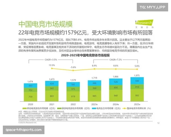 体育品牌与电子竞技领域深度融合，吸引年轻受众